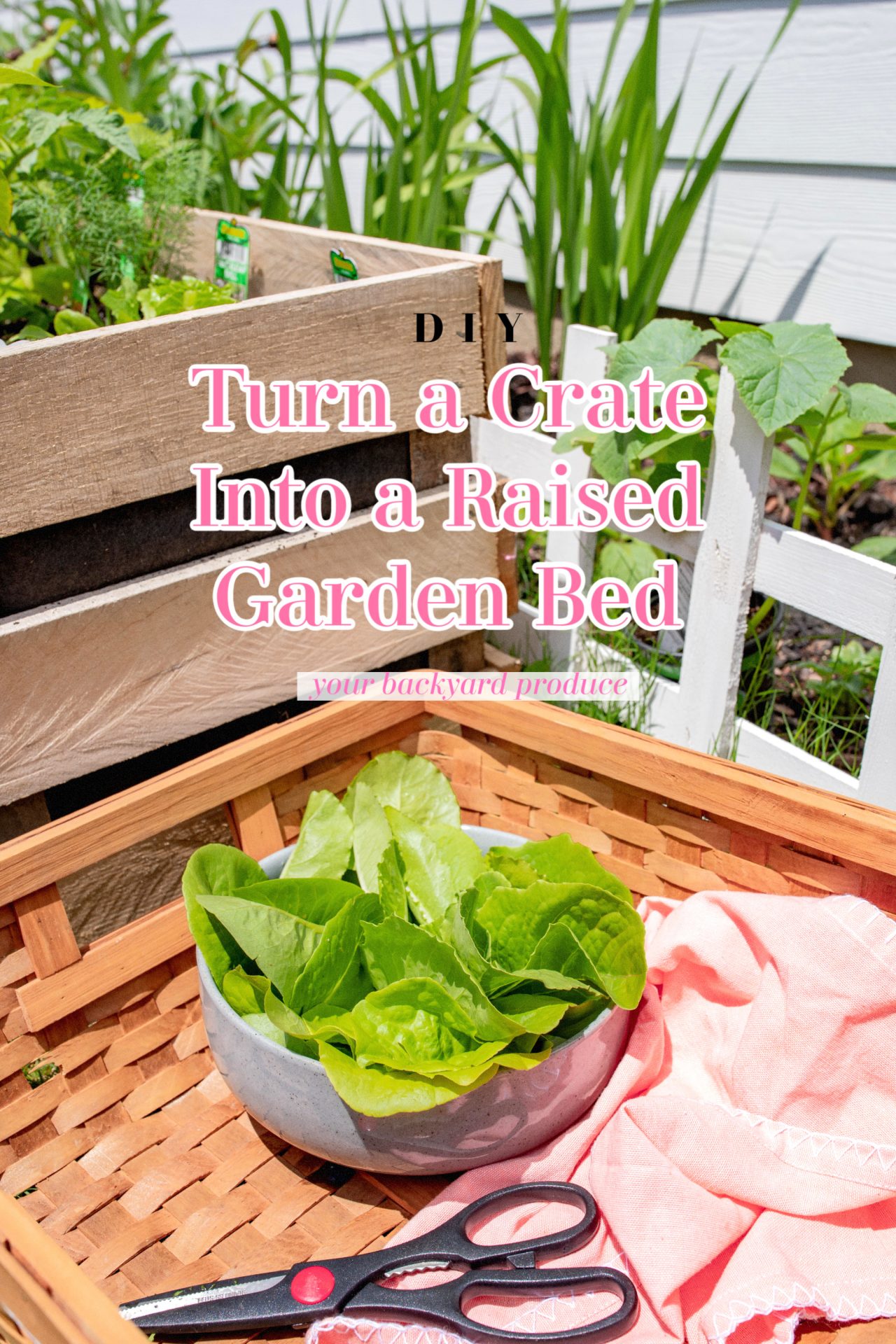 Turning an Antique Potato Crate into a Raised Garden Bed 🥕👩‍🌾