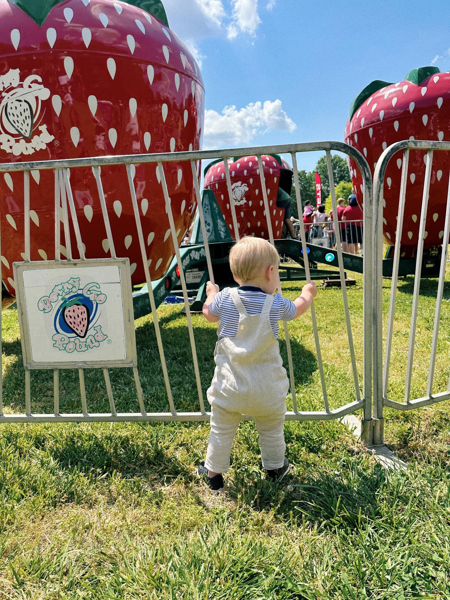 strawberry festival fort mill South Carolina, fort mill strawberry festival, South Carolina blogger, fort mill mom, fort mill blogger, what to do in fort mill, the best of fort mill, family in fort mill, lifestyle blogger