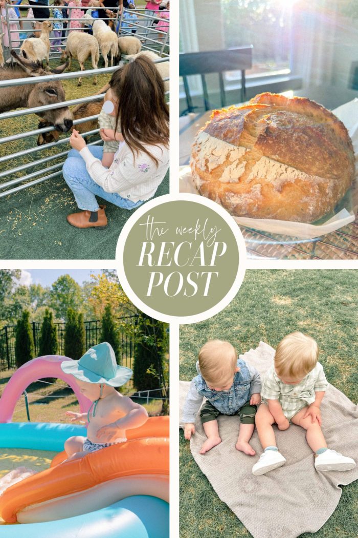 Neighborhood Petting Zoo, Pool Day & Toddler Breakfast Bars