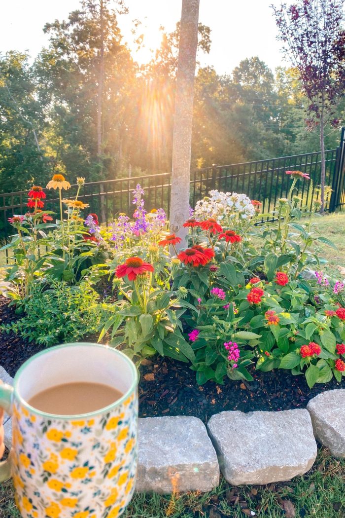 Gardening Project | Flower Border Around The Backyard Trees